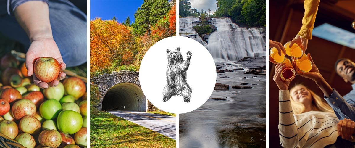 Featured image for “Explore Hendersonville, North Carolina During the Black Bear Half Marathon and 8K Weekend”